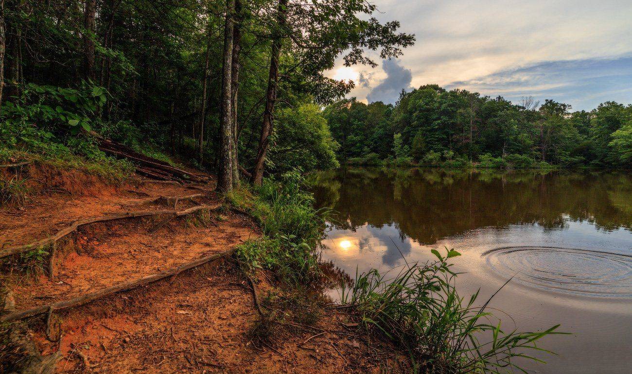 , Леонид Дьяченко