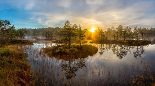 Купаясь в золоте солнца