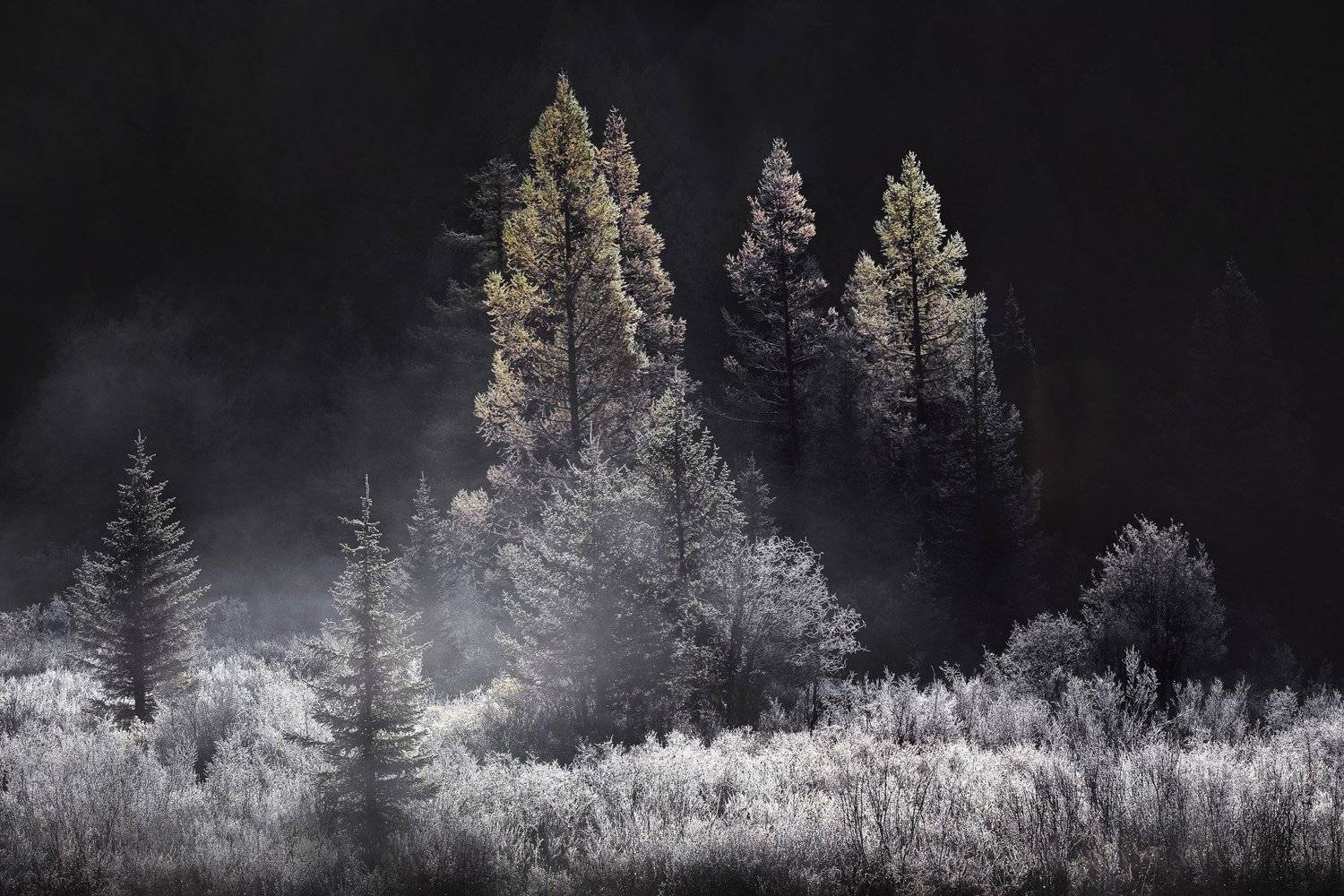 алтай, природа, пейзаж, рассвет, горы, осень, Дмитрий Купрацевич