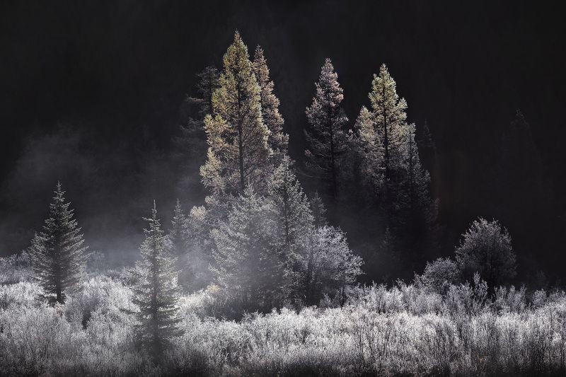 алтай, природа, пейзаж, рассвет, горы, осень Серебро утра фото превью