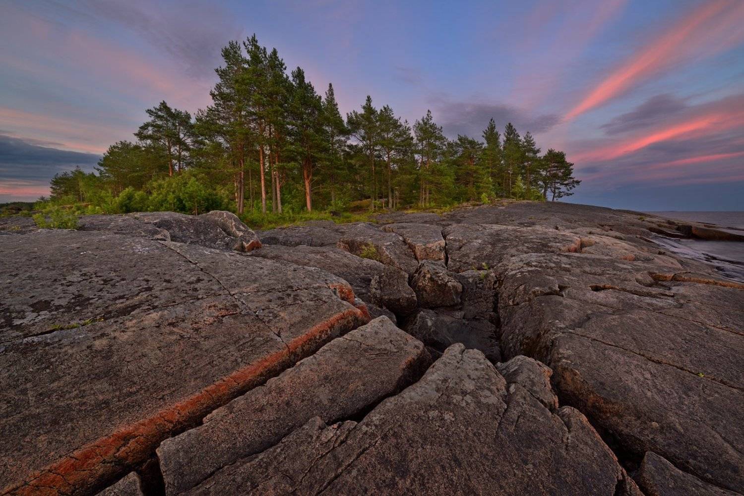, Максим Евдокимов ( www.wildphotorus.ru )