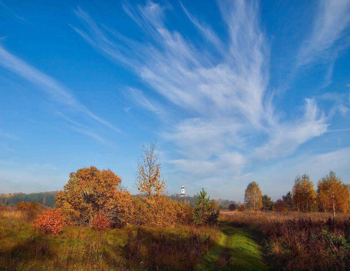 , Владимир Перепечаев