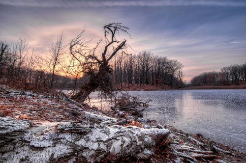 В оковах зимы