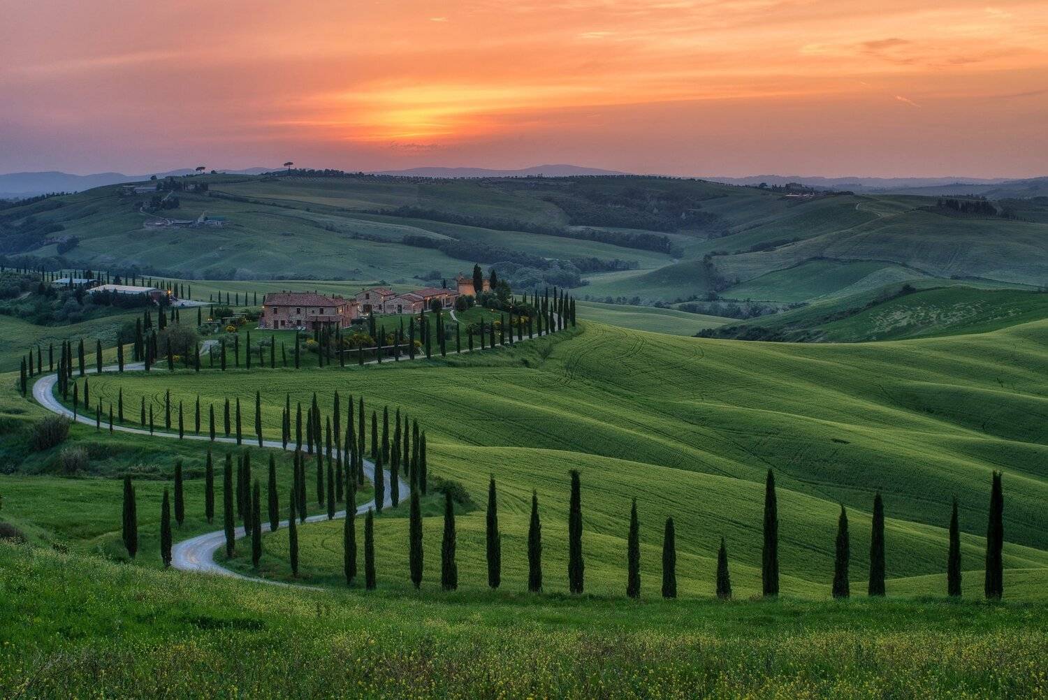 тоскана, италия, поля, пейзаж, природа, путешествия, холмы, волны, закат, вилла, дом, агритуризмо, кипарисы, дорожка, кипарисов, tuscany, toscana, italy, Сергей Давыдов
