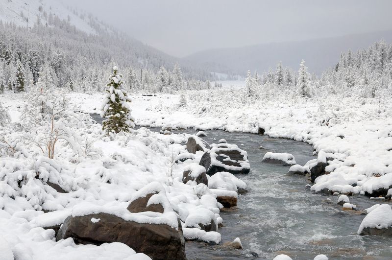 алтай, актру, зима, река, снег, горы, чистота, свежесть У вчера было лето-2 фото превью