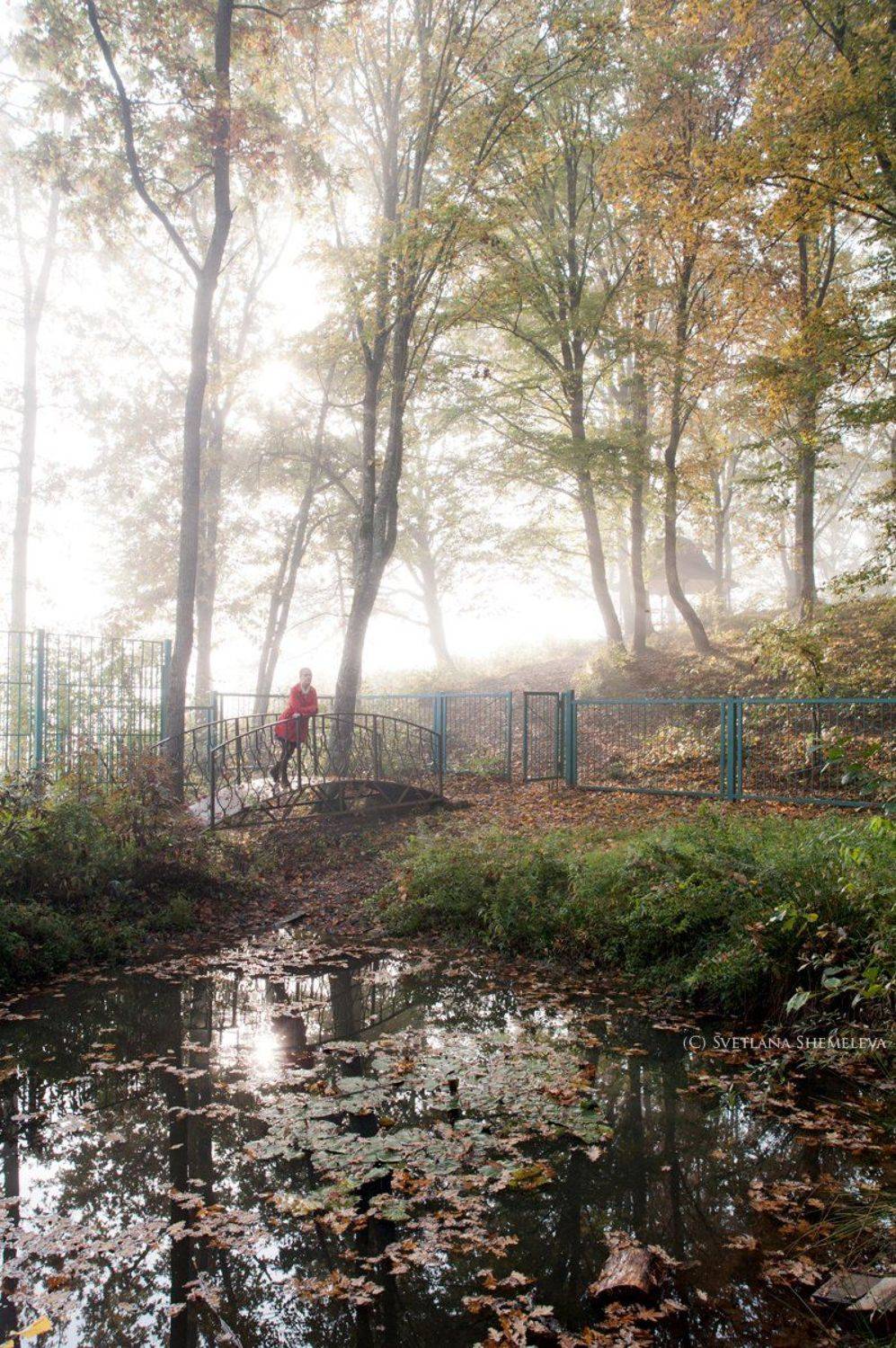 , Светлана Щемелева