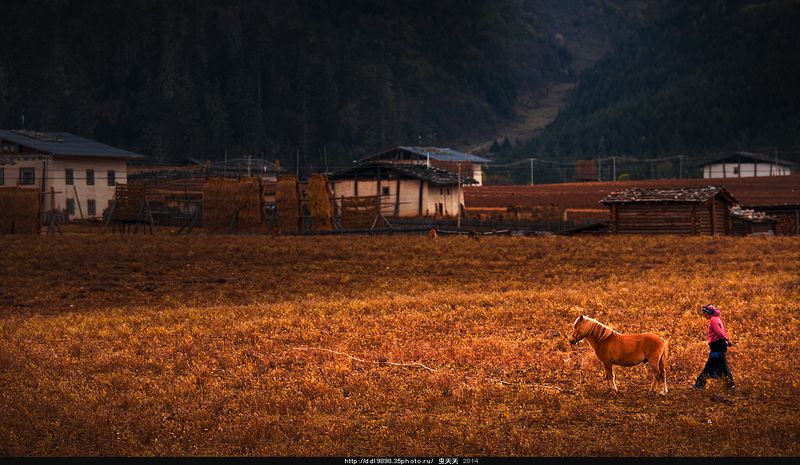 赶马的当地人A local man who drives a horse. фото превью