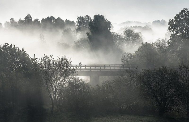 złocieniec, fog, jakub przybyła, Cyclist фото превью