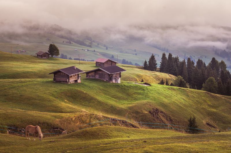 Alpe di Siusi фото превью