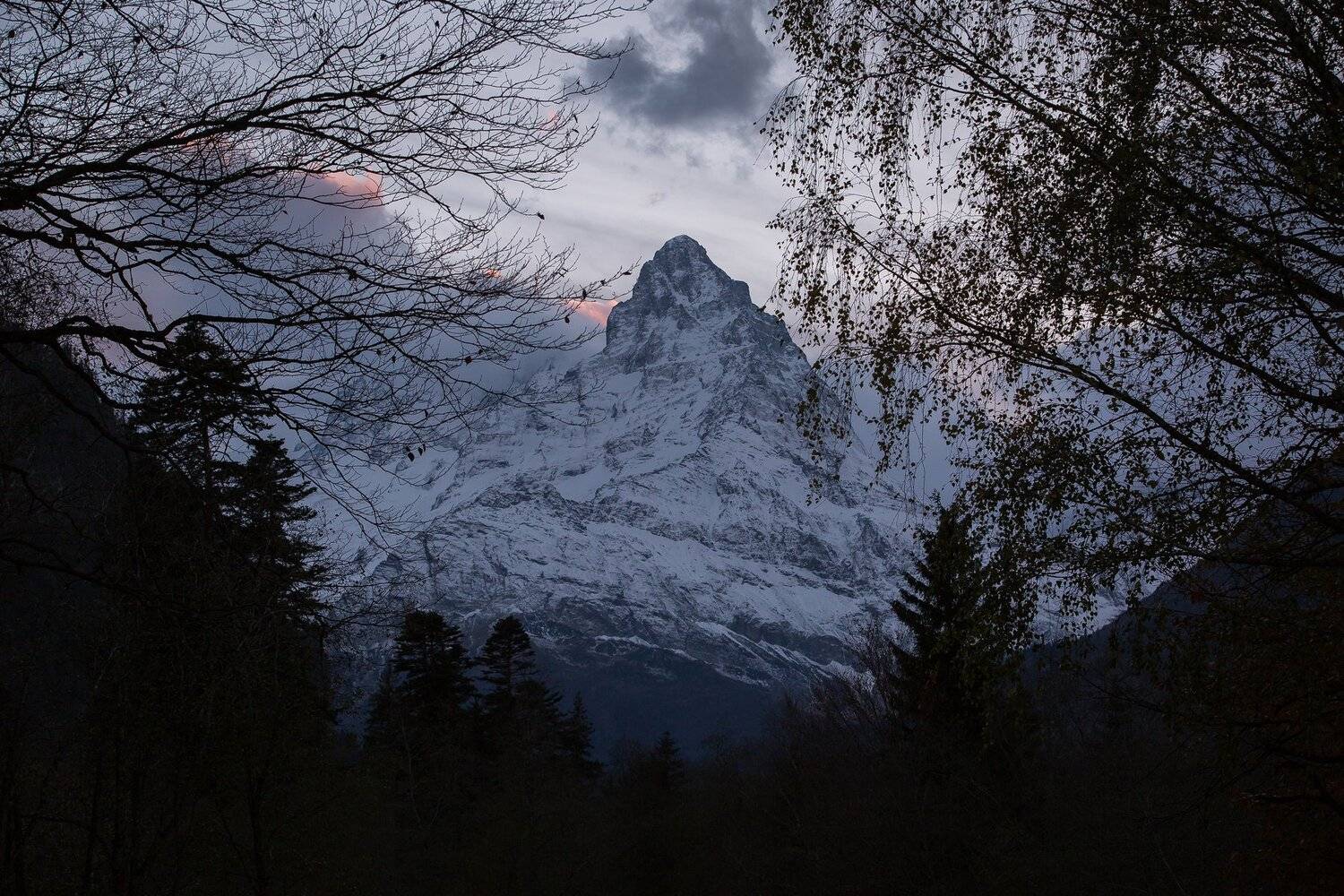 , Коркин Вадим