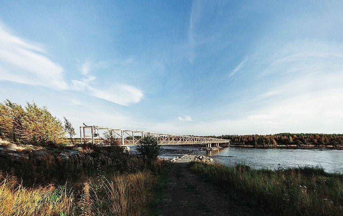 #art #illustration #drawing #draw #picture #photography #artist #sketch #sketchbook #paper #pen #pencil #artsy #instaart #beautiful #instagood #gallery #masterpiece #creative #photooftheday #instaartist #graphic #graphics #artoftheday, Подойницин Геннадий