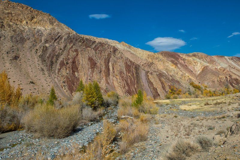 ПРО Марс фото превью