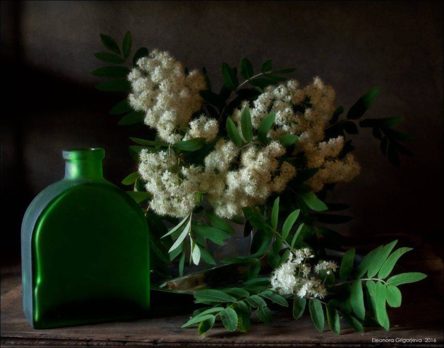 рябина, зелёный, белый, стекло, натюрморт, Eleonora Grigorjeva