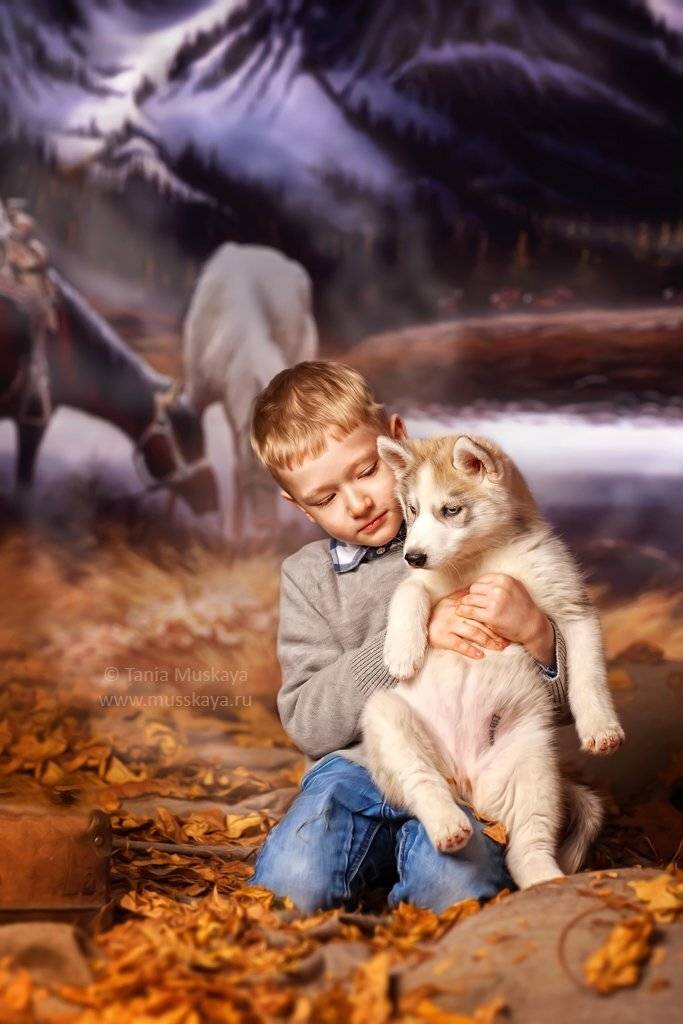 фотосессия с хаски, Мусская Татьяна