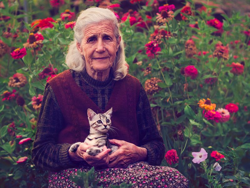flowers, friends, cat, old woman, portrait Friends of the flowers фото превью