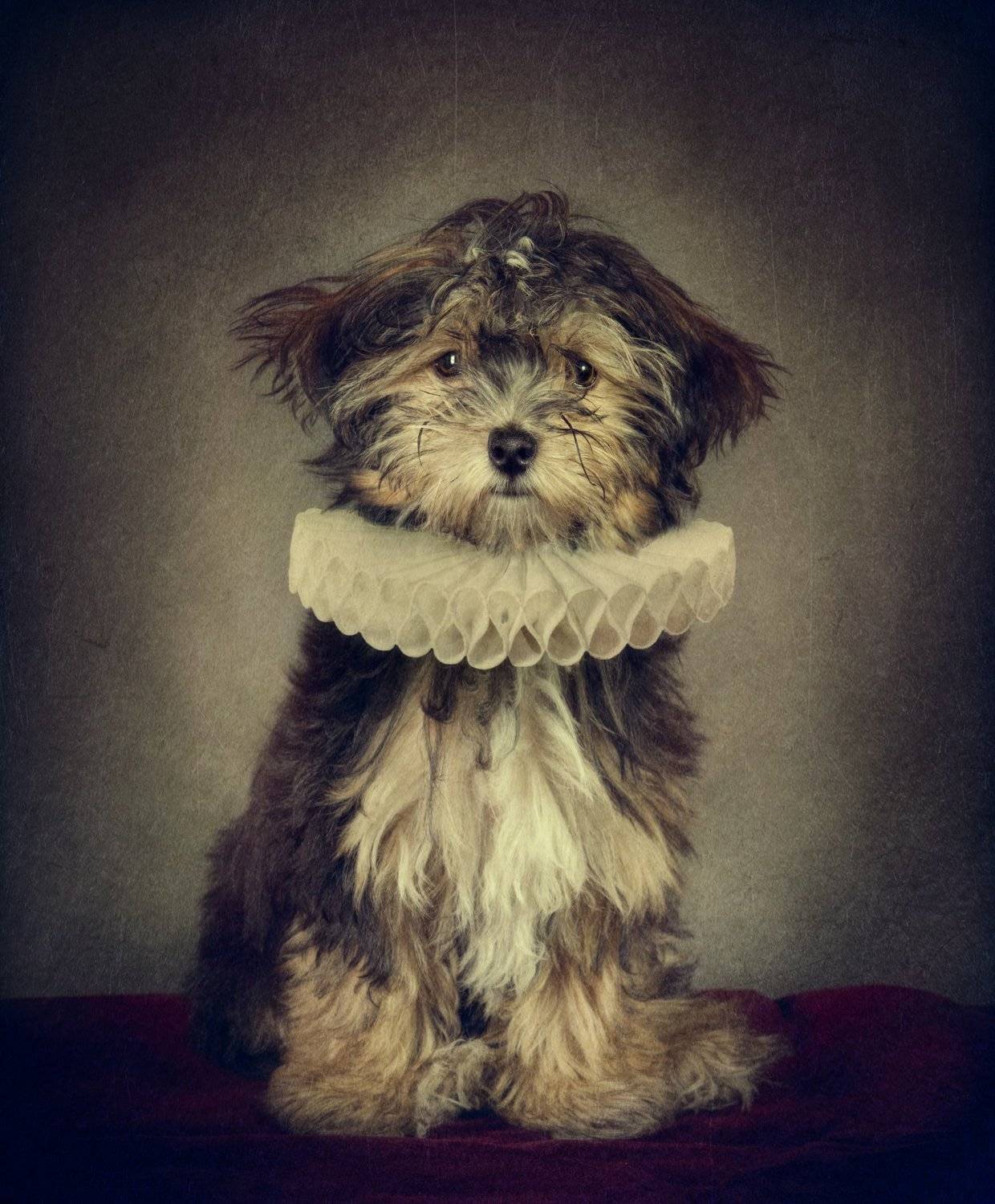 , Светлана Мелик-Нубарова