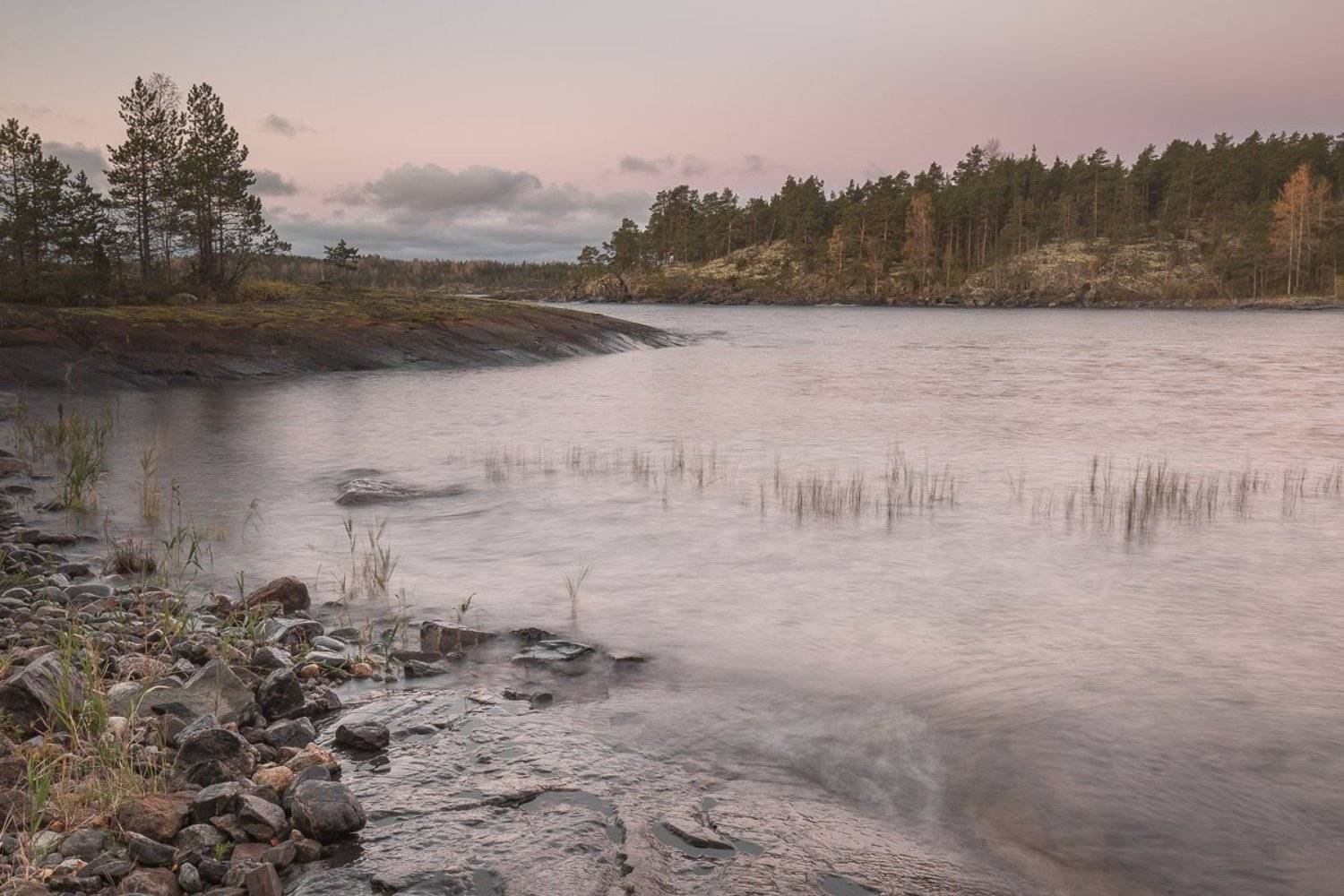, Дмитрий Антропов