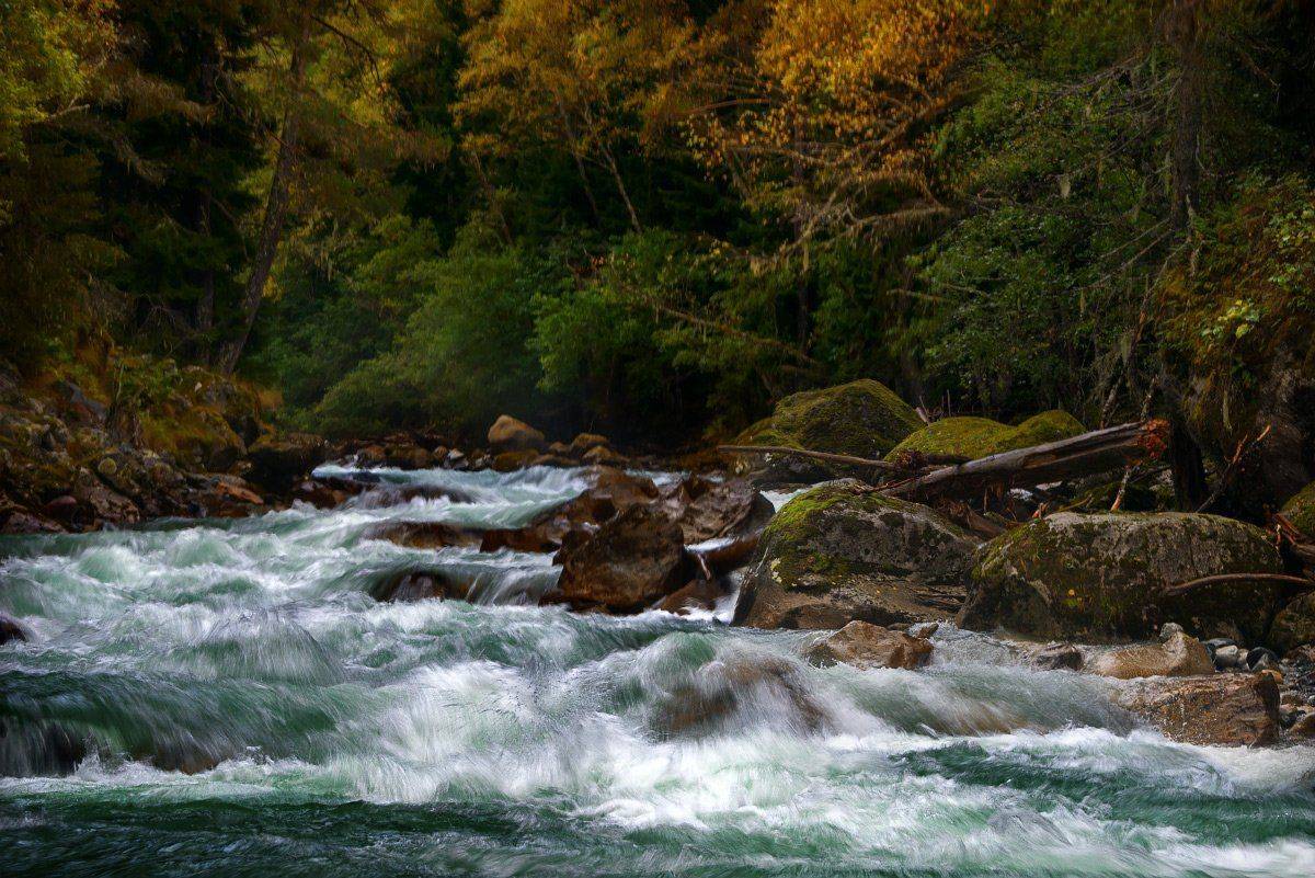 , Елена Брежицкая