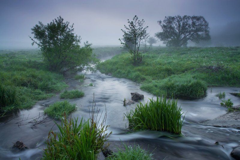 Весеннее настроение... фото превью