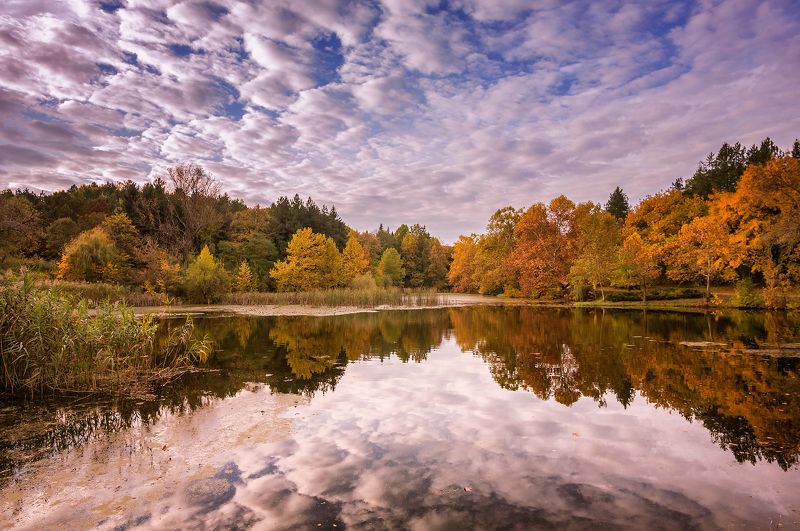 Autumn in the park фото превью