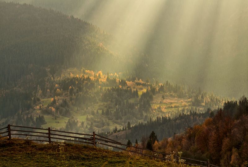 карпаты, горы, осень, солнце, луч Луч солнца золотого... фото превью