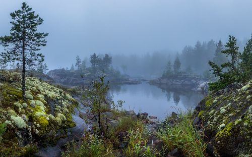 Озерцо в бухте Ладоги.