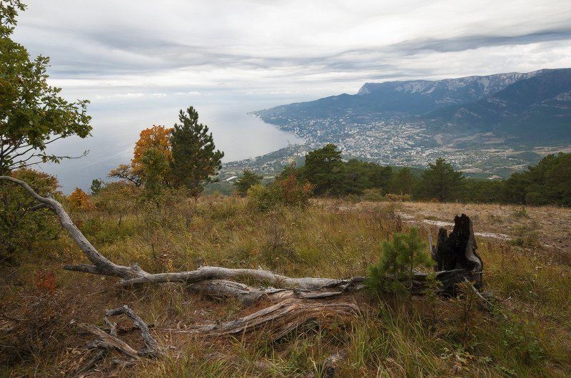 Вид на Ялту с высоты Ай-Илия-Сырым... фото превью