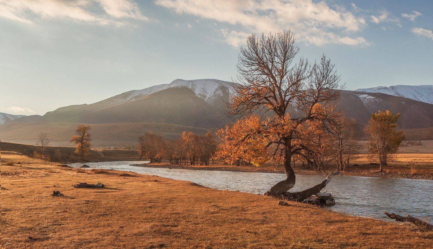 алтай, Владимир Липецких