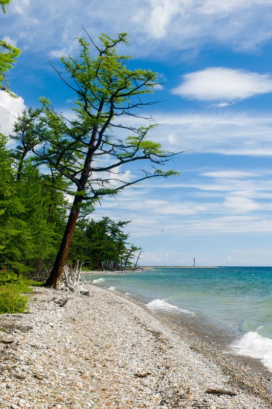 Монголия, Хубсугул озеро Хубсугул (Северная Монголия) фото превью
