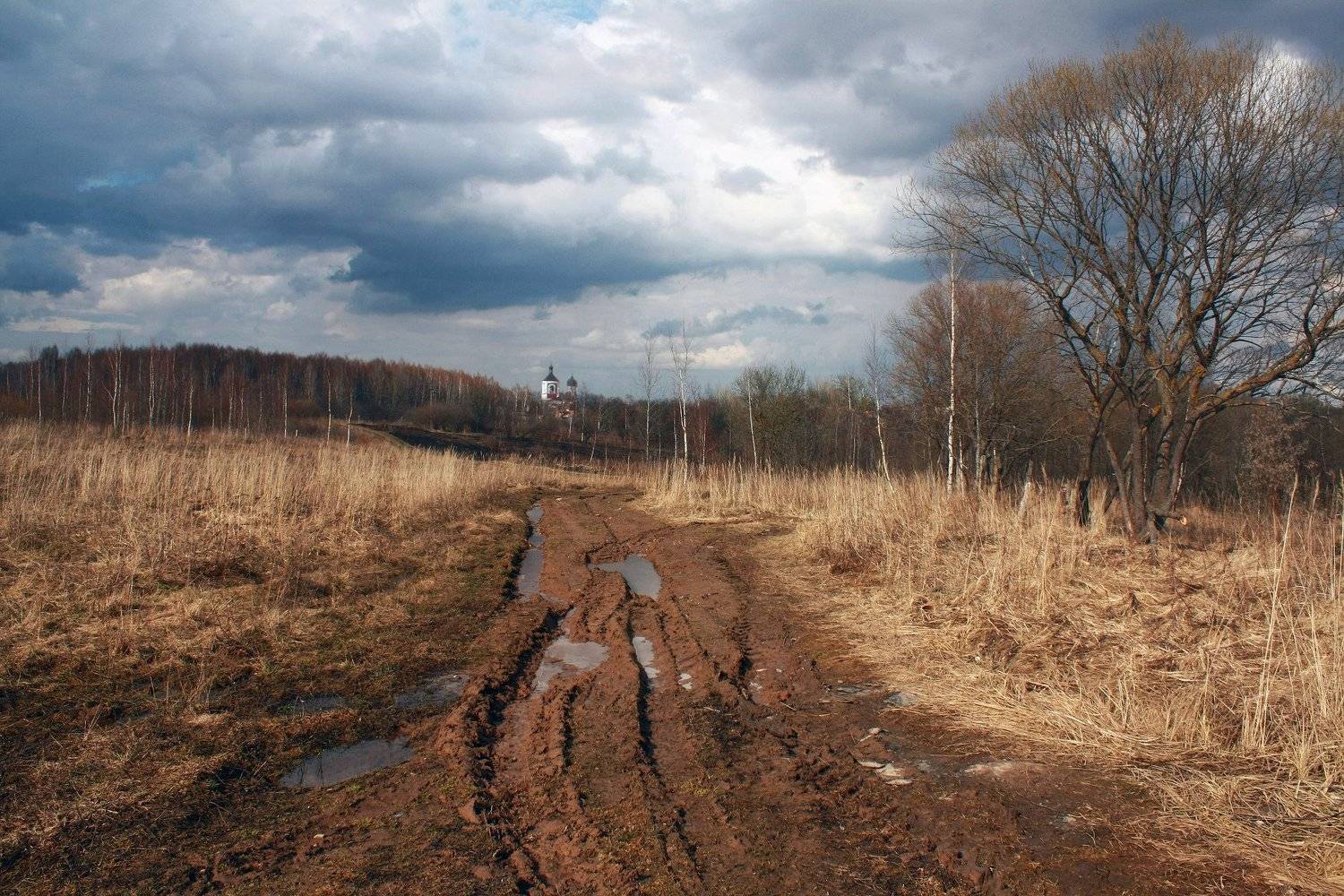 осень, Свистков Александр