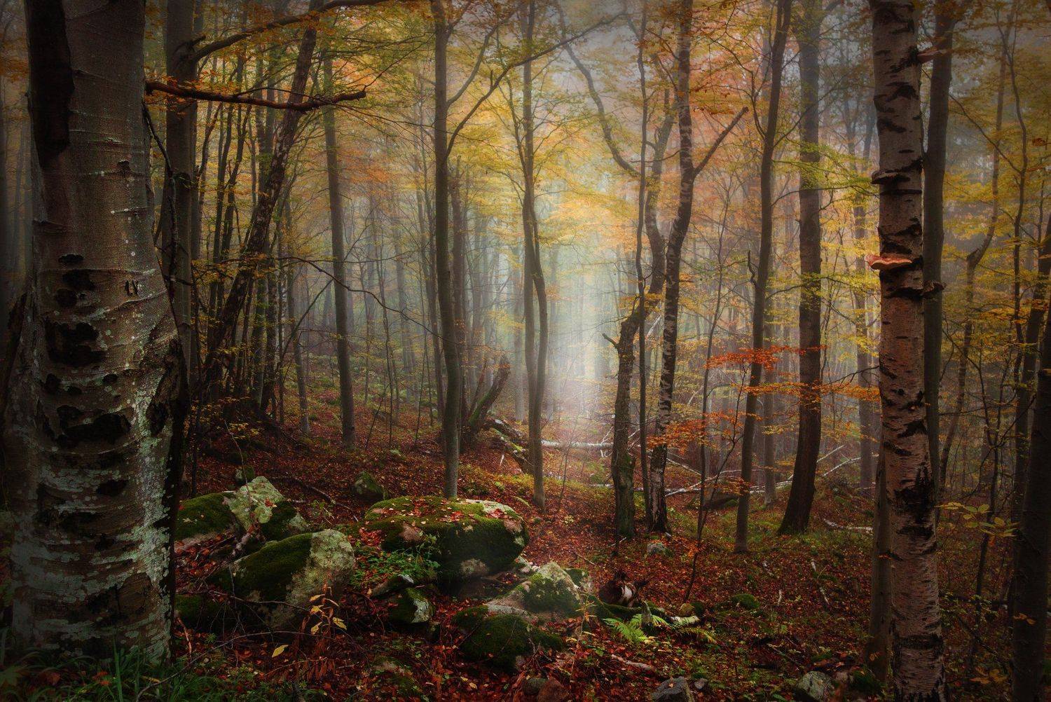 , Аделина Деветакова