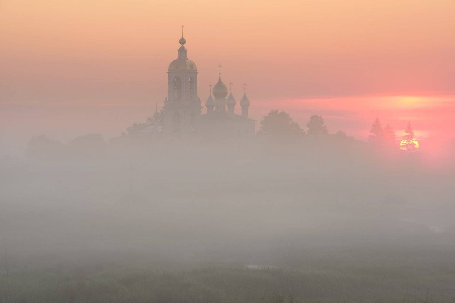 , Максим Евдокимов ( www.wildphotorus.ru )