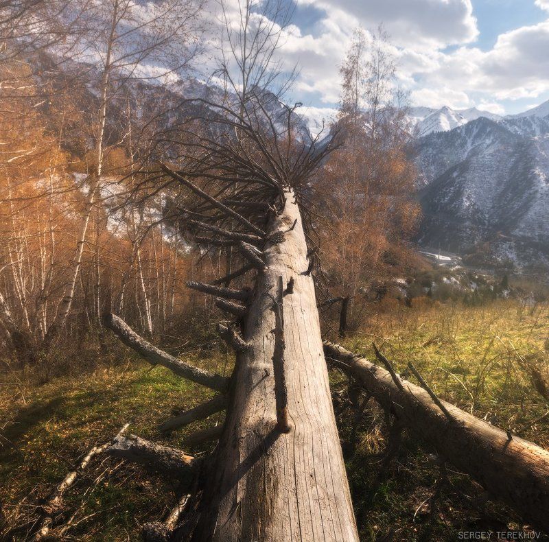 алматы, казахстан, медео, тянь-шань, Урочище Медео фото превью