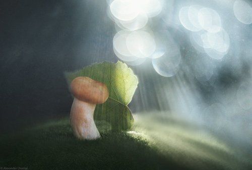 Играть в прятки с солнцем