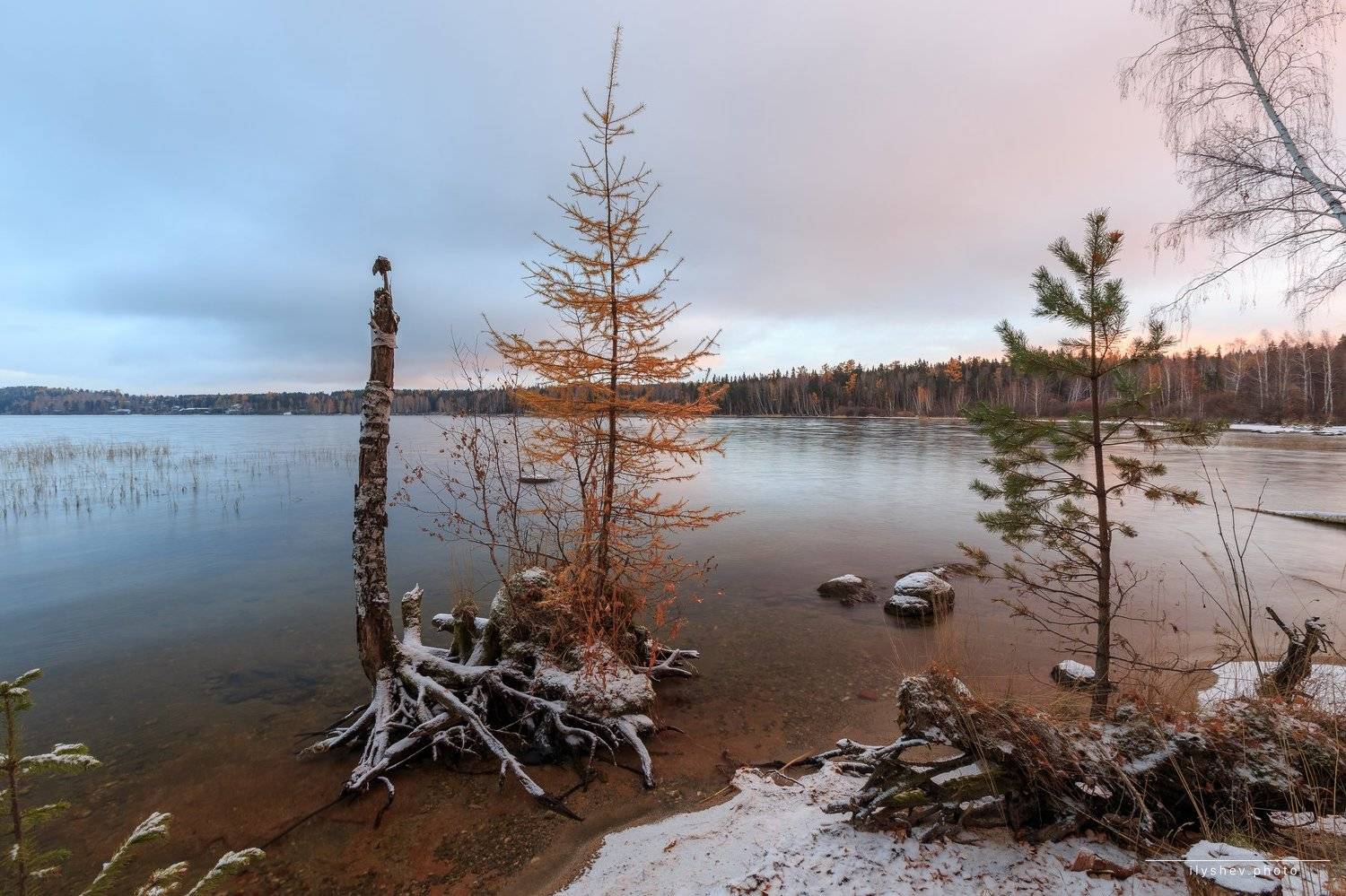 рассвет, озеро, свет, елка, островок, лиственница, пейзаж, природа, урал, россия, Dmitry Ilyshev