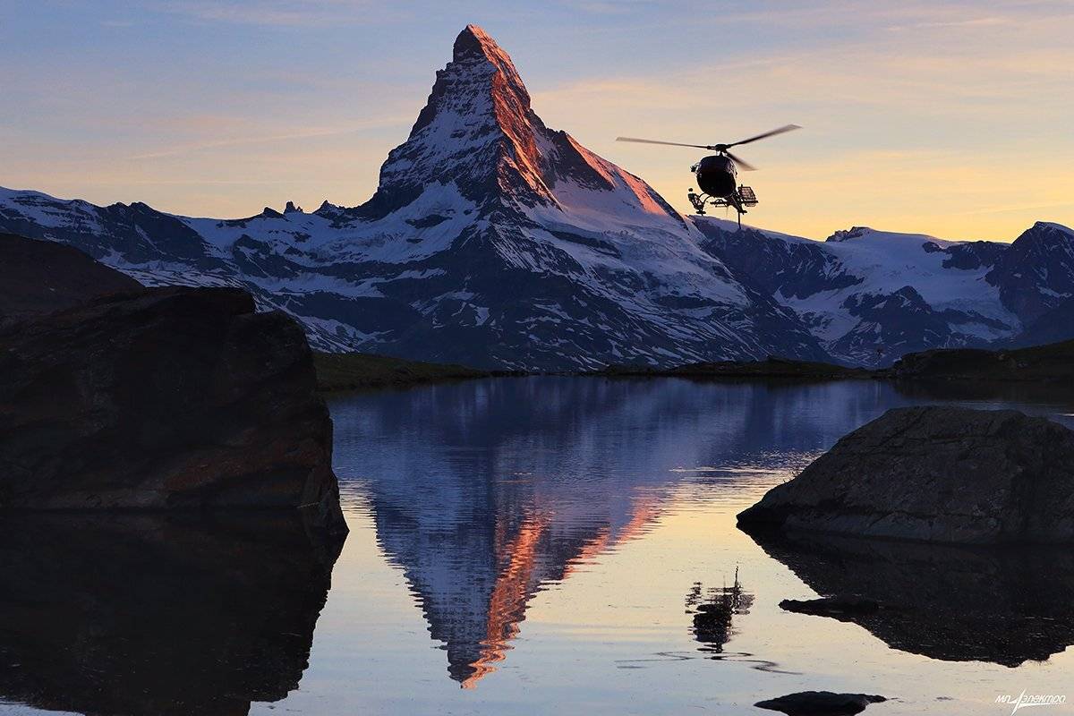 swiss, Матвеев Николай