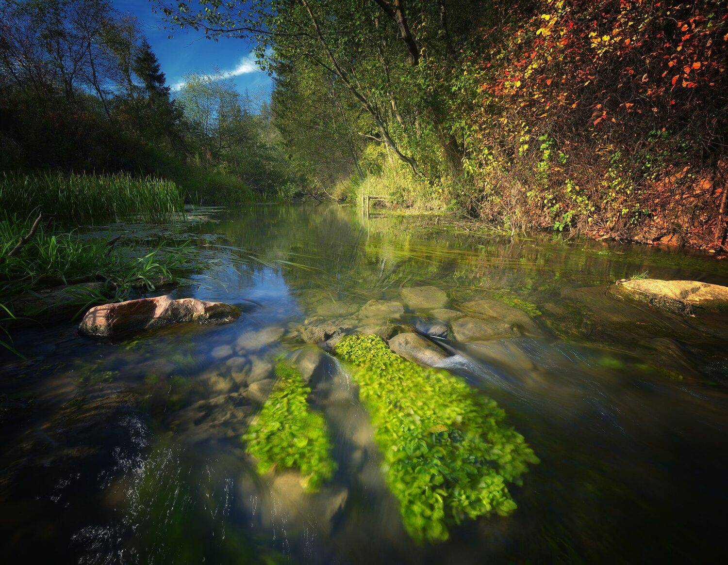, Алексей Никонов