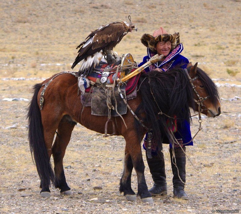монголия беркут орел охотник *** фото превью