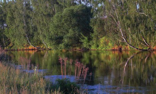 Отражения весеннего утра