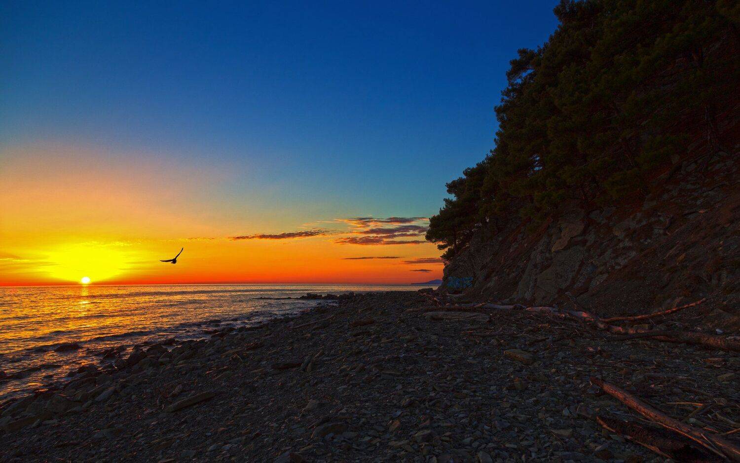 , Алексей Рыльский