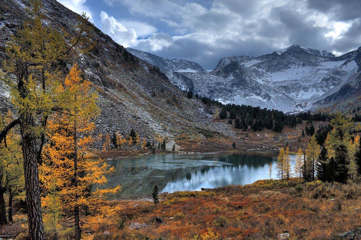 , Алексей Родак