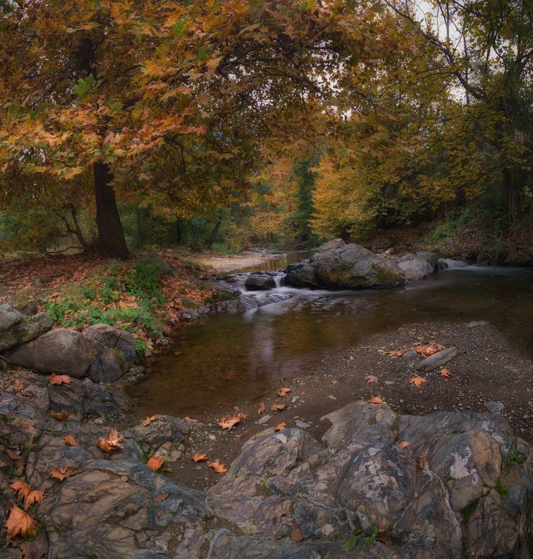 Есенна река фото превью