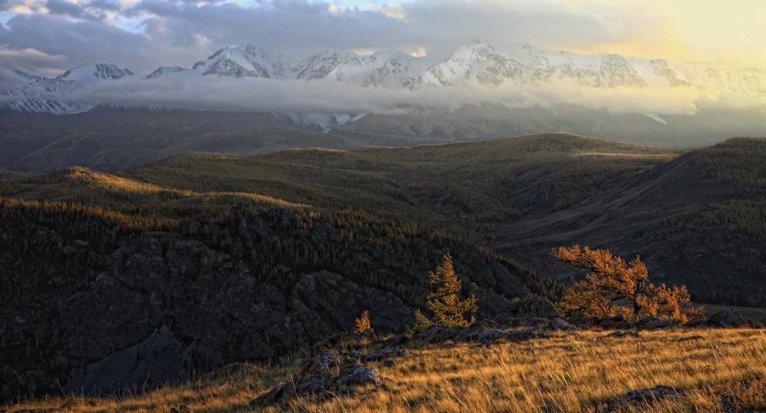 , Галина Хвостенко