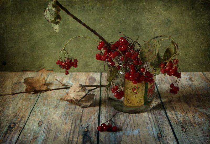 калина фото превью