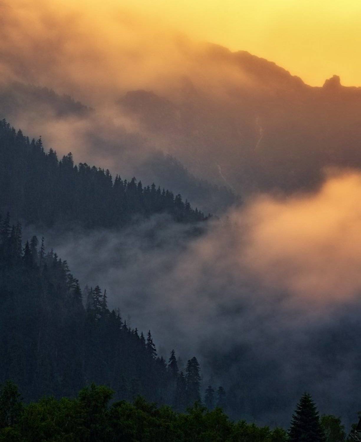 , Игорь Мелекесцев