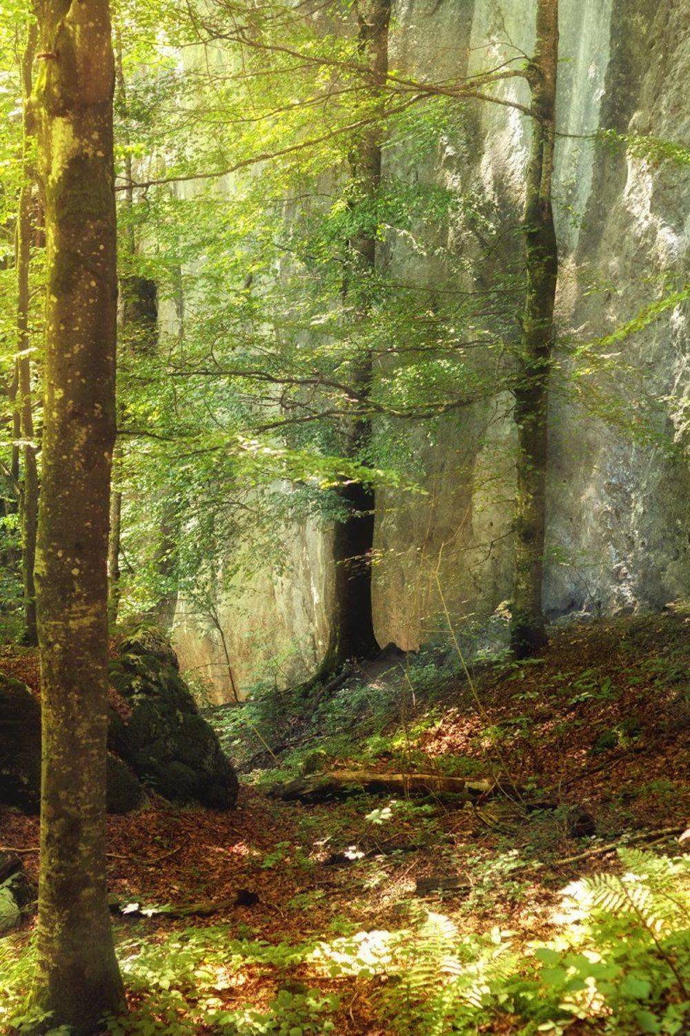 , Инна Богуславская