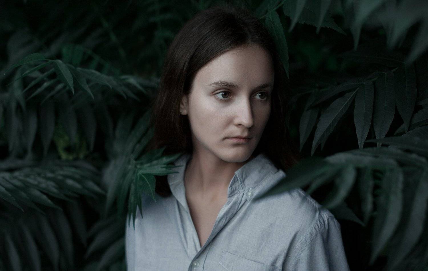 , Николай Пиреев