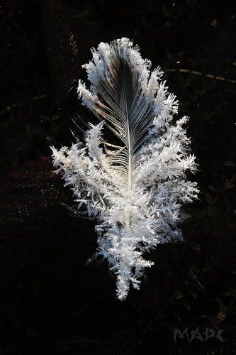 Первые заморозки