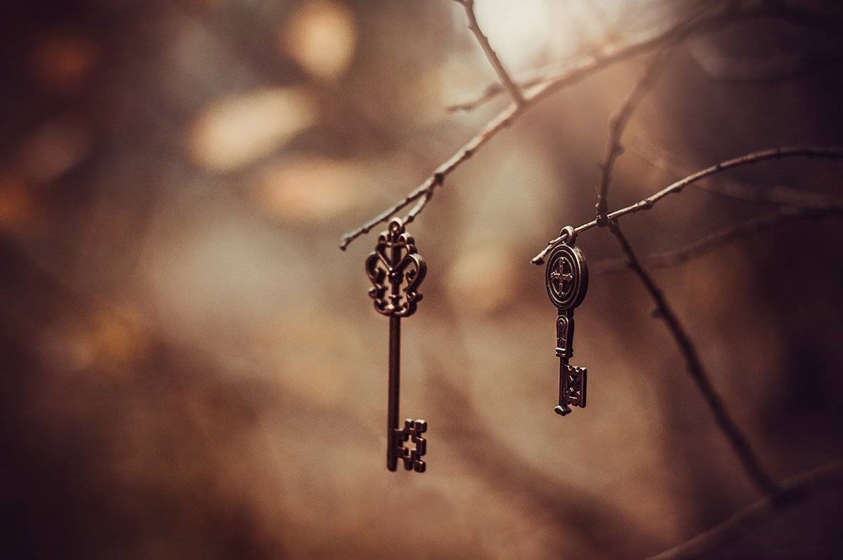 анна чернякова, макро, макро фотография, сказка, лес, Чернякова Анна