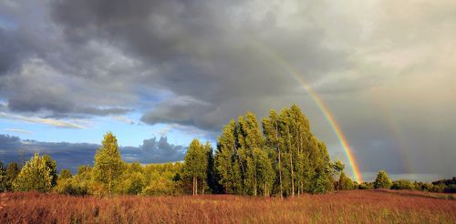 Русский пейзаж )